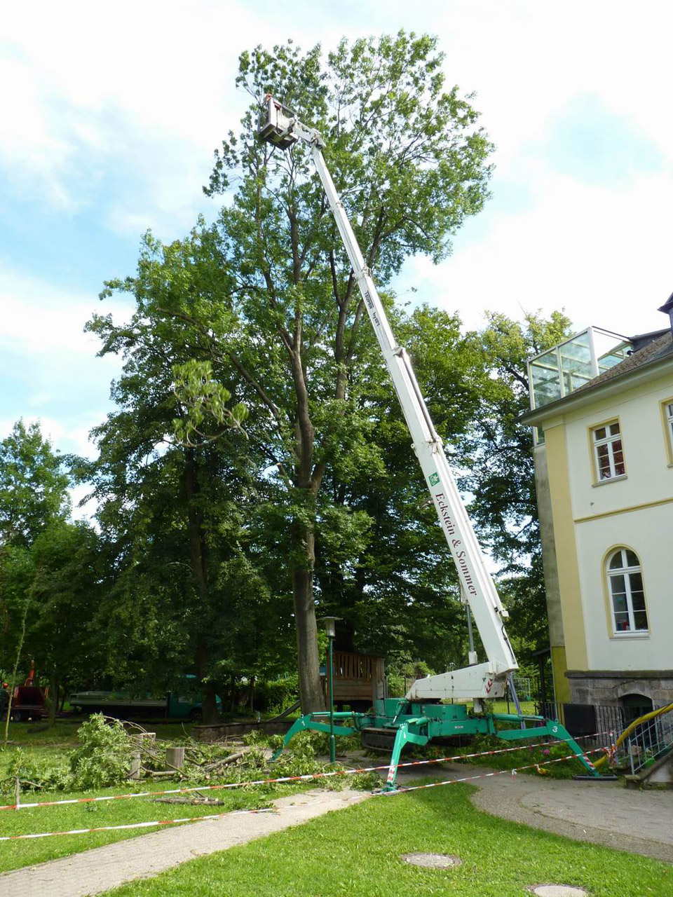 Baumschnitt08