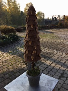 Advent 2015 (4)